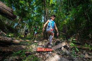 BIB: 
                            <button type="button" onclick="openModal(19388172)" class="btn btn-primary btn-sm float-right btn-popup" data-toggle="modal" data-target=".modal-high-quality">
                        <i class="fas fa-shopping-cart"></i> Add to Cart
                    </button>
                                            <button type="button" onclick="isThisMe(19388172, true)" class="btn btn-success btn-sm float-right btn-popup btn-isme hidden" data-toggle="tooltip" data-placement="bottom" title="นี่คือรูปของคุณใช่ไหม คลิกที่นี่เพื่อเอาเข้าอัลบั้ม">
                        <i class="fas fa-plus"></i> Add to album
                    </button>
                    <button type="button" onclick="isThisMe(19388172, false)" class="btn btn-warning btn-sm float-right btn-popup btn-isnotme hidden">
                        <i class="fas fa-ban"></i> Remove from album
                    </button>